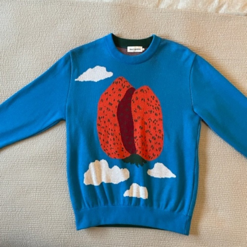 Marimekko Spring Strawberry Mountain Sweather